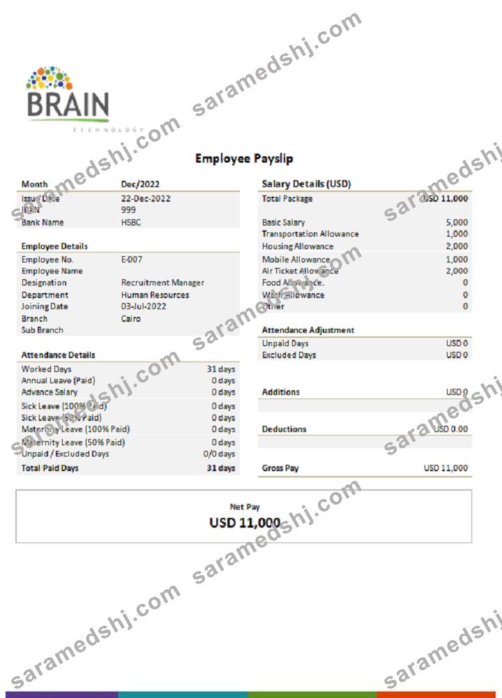 USA Brain Technology technology company
